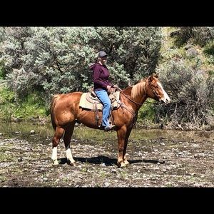 Meet your Posher, Doris